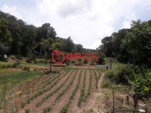 Sitio - Campanha - Ref: 34803040 - V-st00152