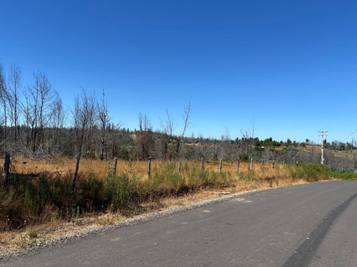Terreno 5000 M2 Rinco 2 Comuna De Tome