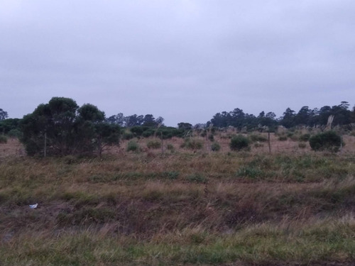 Imagen 3 de 6 de Latorre Prop. Vende 21 Hectareas - Cerca De La Ruta 2 - Camet