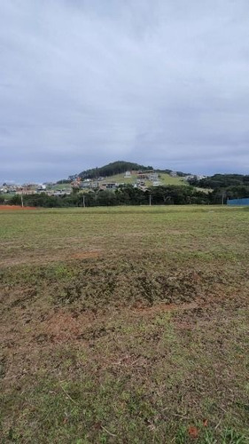 Terreno - Vila Nova - Ref: 175200 - V-mi10135