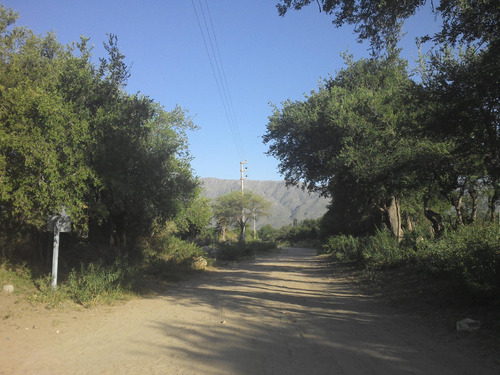 Terreno En San Luis