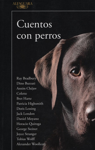 Cuentos Con Perros