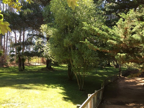Imagen 15 de 24 de Agrícola En Venta En Algarrobo