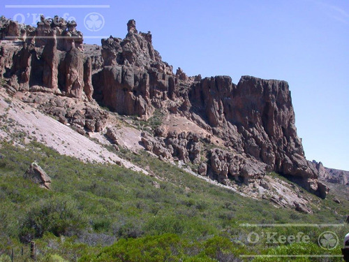 Campo En Venta De 635 Has Bariloche, Costa Del Pichileufu, Rio Negro.
