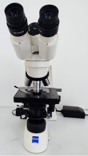 Microscopio Primo Star Fixed-köhler Carl Zeiss