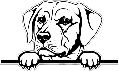 Calca Clacomania Sticker Perro Perrito Labrador