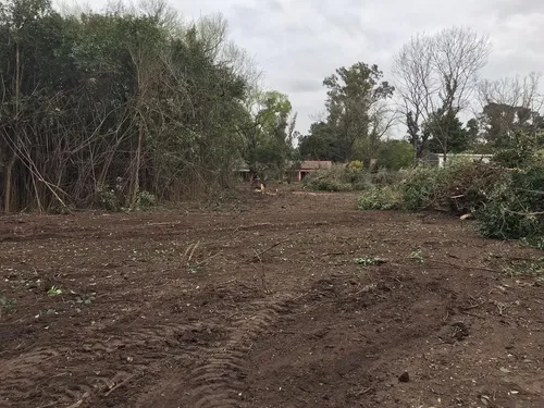 Limpieza Y Desmonte De Terrenos . Alquiler Camion Y Bobcat