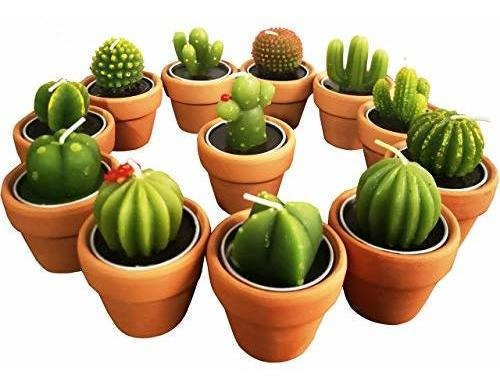 Velas Suculentas, Novedad Cactus Tealight Vela Baby Shower V