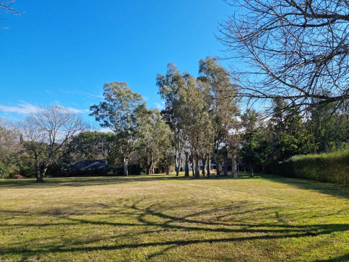 Imagen 2 de 14 de Terreno En Venta 1800m2 Con Excelente Arboleda