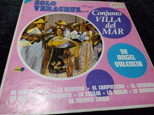 Conjunto Villa Del Mar Veracruz Vinilo,lp,acetato,vinyl (Usado)