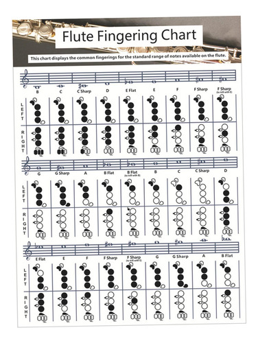 Flute Chart Cheatsheets Accesorios Educativos Para Grande