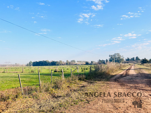 Excelente Campo Agrícola/ganadero!.