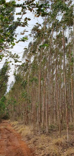 Imagem 4 de 7 de Chácara Para Venda Em Avaré, Rural - Cha 07_1-1788479