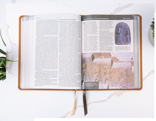 Rvr 1960 Biblia Ilustrada Tierra Santa Café Símilpiel Ind