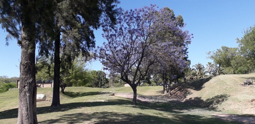 Imagen 3 de 14 de Cabaña En San Pedro Provincia. Cabaña De Troncos Frente Al Rio Parana.