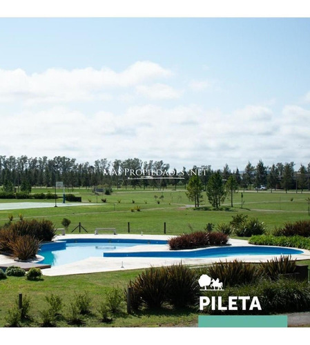 Imagen 1 de 12 de Lote Interno En Campos De Roca Ii