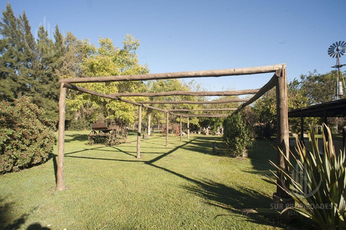 Imagen 12 de 25 de Emprendimiento Gastronomico Espacios Al Aire Libre ( Exclusivo Empresas )