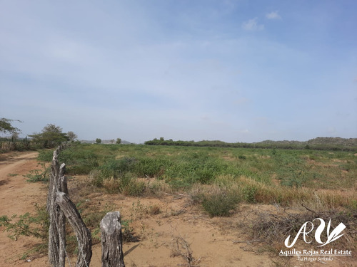 4,515 Tareas En La Zona De Montecristi