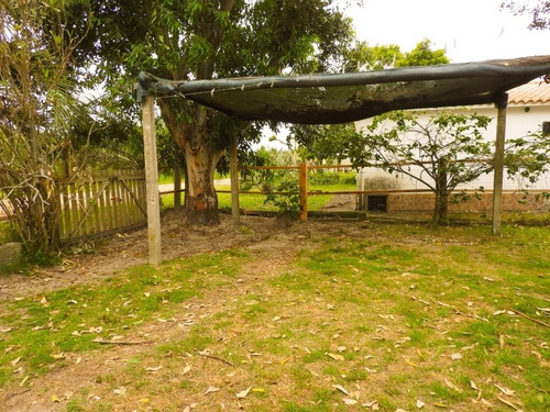 Imagen 6 de 19 de Casa 2 Dormitorios Con Cochera Interior