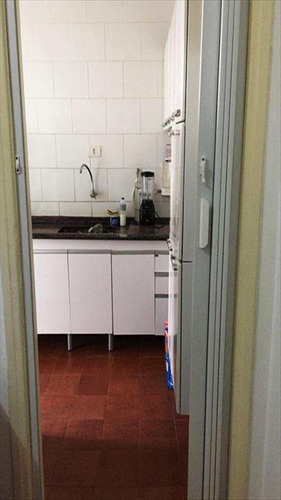 Apartamento Em São Paulo Bairro Vila Monumento - V4308