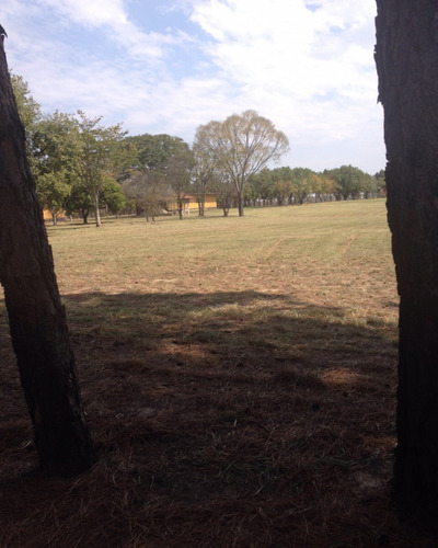Imagem 5 de 9 de Área À Venda No Jardim Saira - Sorocaba/sp - Ar00712 - 33290164
