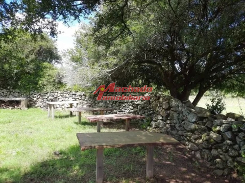 Imagen 14 de 15 de Venta De Chacra De 5 Hectareas En Paraje Las Cañas