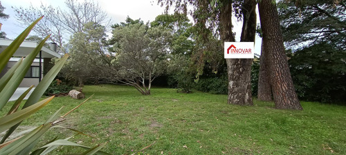 Venta Terreno 430m2 Con Titulos E Impuesto Al Dia En Pinares De Atlantida