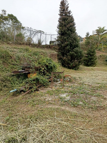 Imagen 13 de 16 de Terrenos En Venta