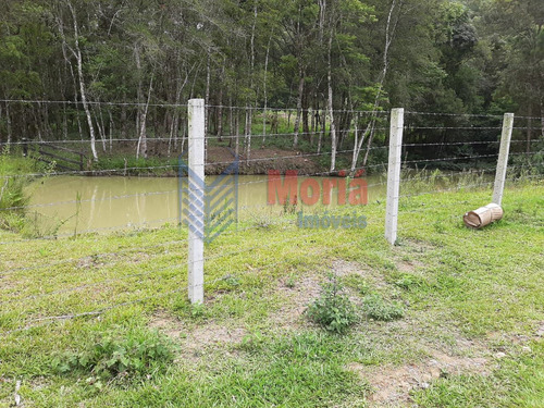 Imagem 21 de 30 de Chácara/fazenda/sítio Com 4 Dormitórios À Venda Com 80206m² Por R$ 460.000,00 No Bairro Tunas - Tunas / Pr - Mch-0030