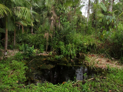 Chácara A Venda Em Guaratuba De Porteira Fechada
