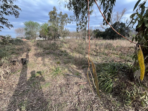 Venta Lote 55x65 En Zona De Quintas