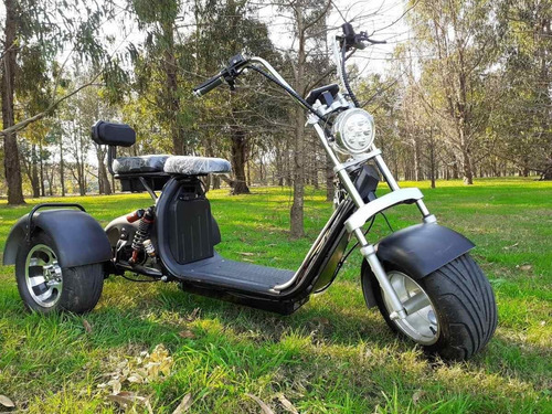 Imagen 10 de 15 de Triciclo Moto Eléctrica Tricoco Citycoco - Trike Uruguay