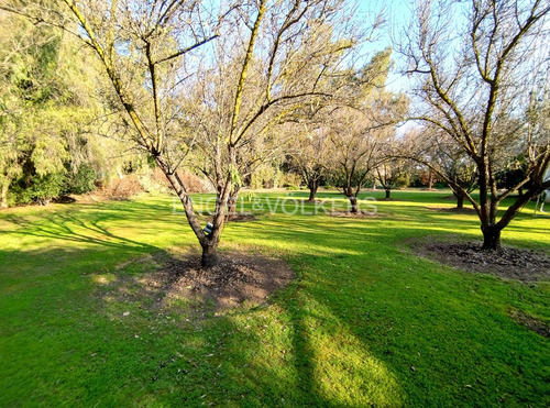 Proyecto Familiar, Dos Casas En Un Terreno, Campestre¡!