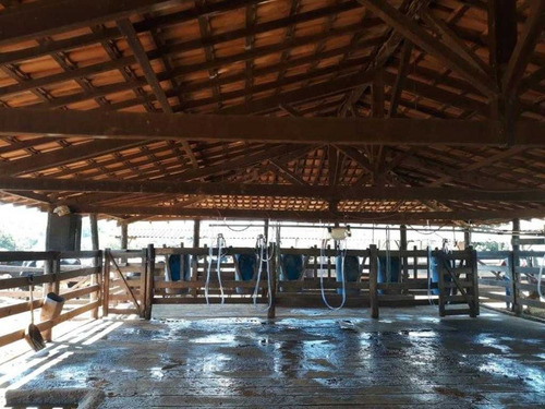 Curvelo Mg 223 Hectares . 2.700,000,00 Montada De Leite - 39335
