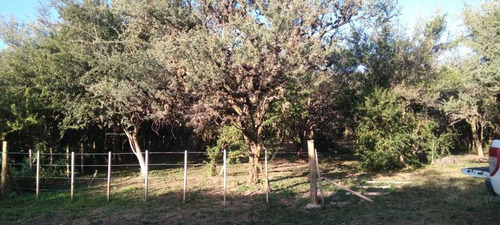 Imagen 2 de 5 de Excelente Lote En Venta En Carpinteria.