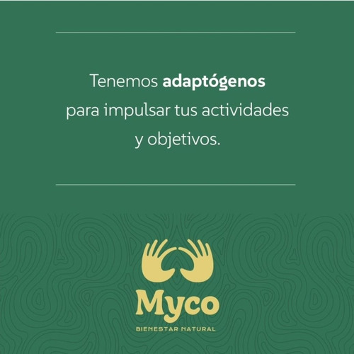 Melena De León X 90 Cáps Bienestar Natural Hongo Adaptógenos Sin Sabor