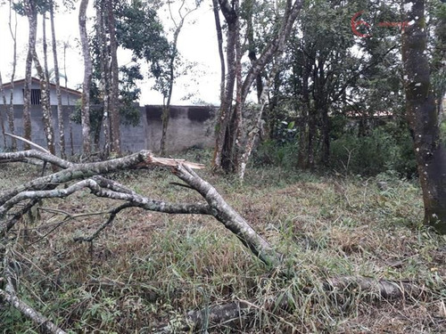 Imagem 4 de 10 de Terrenos Em Loteamento Fechado À Venda Em Mairiporã/sp - Compre O Seu Terrenos Em Loteamento Fechado Aqui! - 1450026