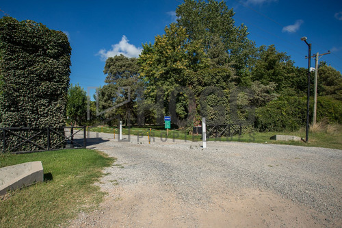 Lote 1000 M2 El Tropezón