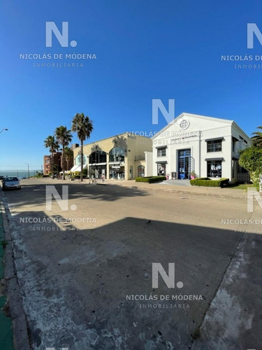 Local Comercial En Plena Península, Oportunidad Real- Ref: 5016