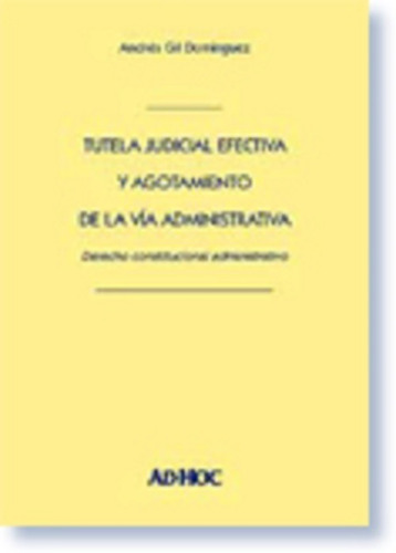 Tutela Judicial Efectiva Y Agotamiento De La Vía Adm.