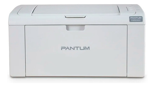 Impresora Laser Pantum P2509w Con Wifi Blanca 