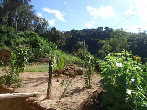 Imagem 14 de 14 de Sitio Para Lazer Ref 1269
