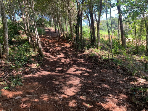 Imagem 3 de 28 de E.c / Venha Ver Seu Terreno De Alta Qualidade