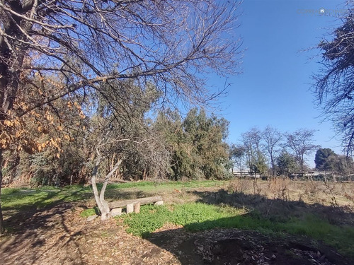 Terreno Construccion En Venta En Olivar