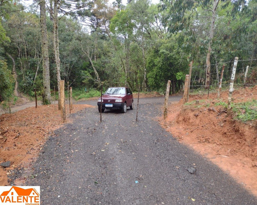 Imagem 3 de 15 de Chacara - Ch00047 - 70397262
