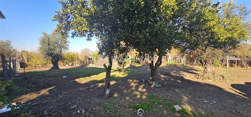 Tereno En Venta En Yumbel Centro