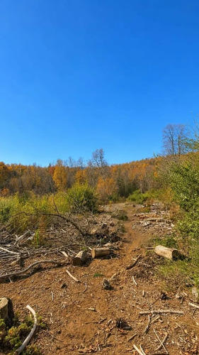 Vive En La Naturaleza Parcela De 10000mt2 En La Placeta