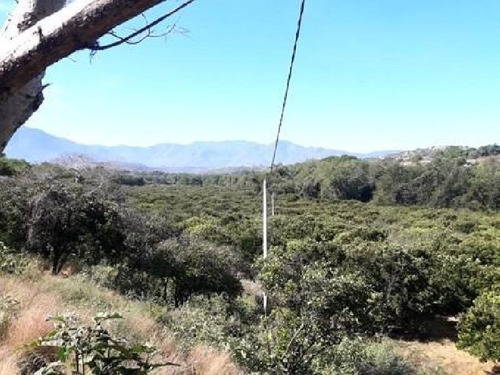 Imagen 13 de 23 de Venta De Terreno Puente De Ixtla Precio A Negociar, Con Titulo De Agua H