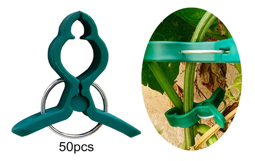 50 Piezas Clips Para Plantas Plantas Trepadoras Al Pescado S