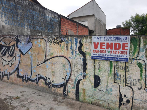 Imagem 1 de 7 de Terreno Para Venda Em Guarulhos, Continental Ii - 6687ok_1-1428084